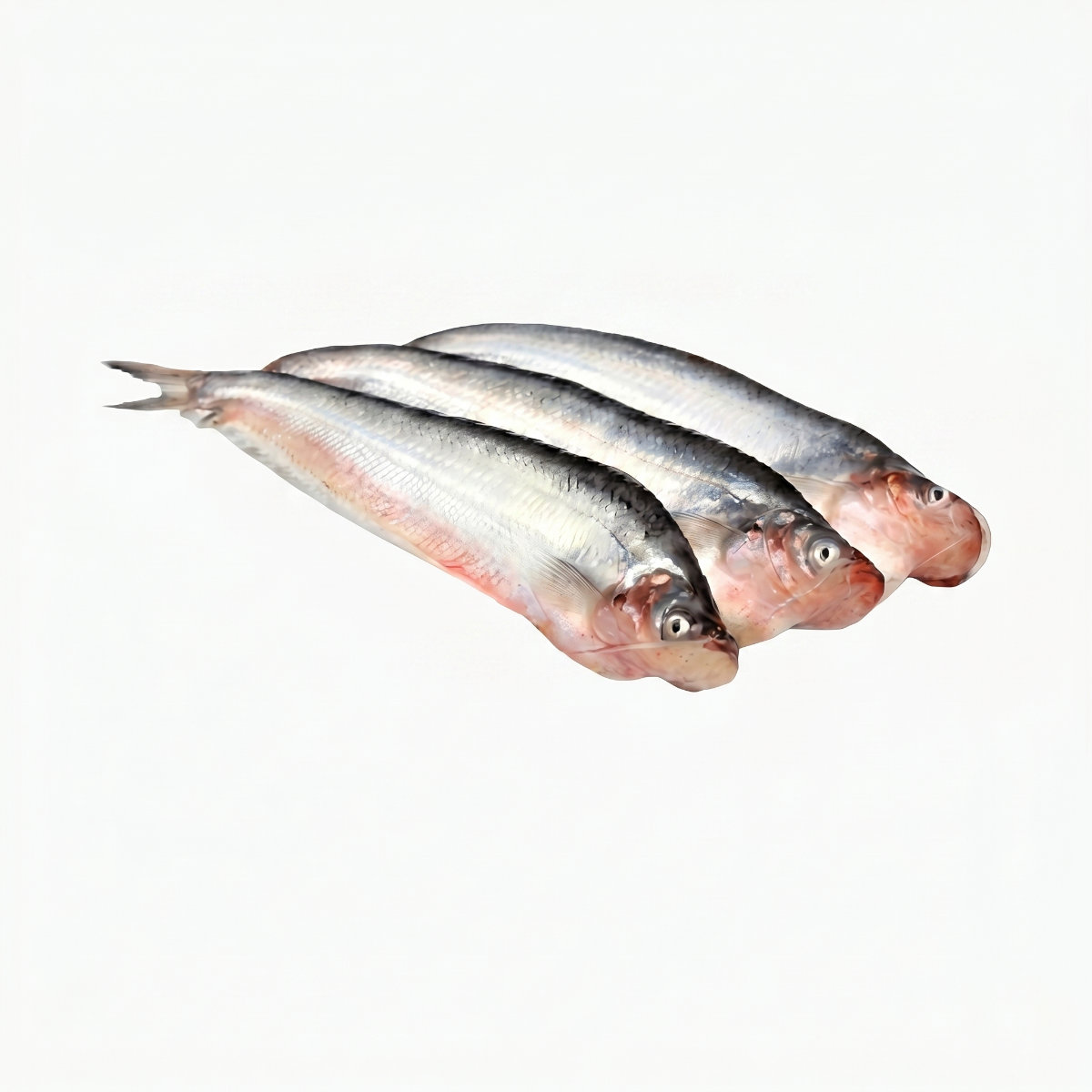 Pabda Fish (500gm)