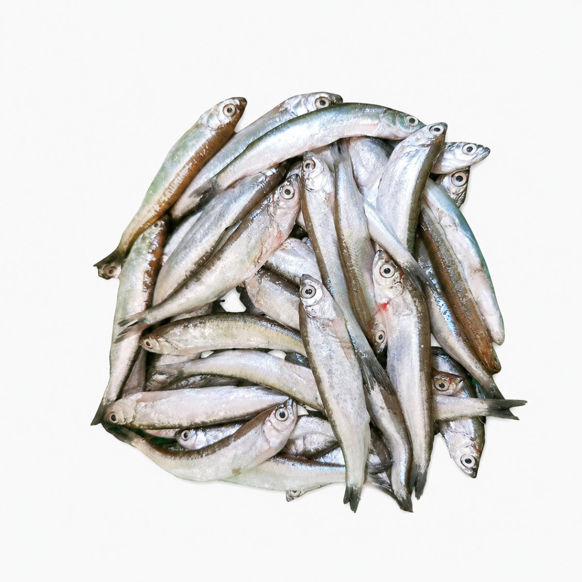 Chela Pata Fish