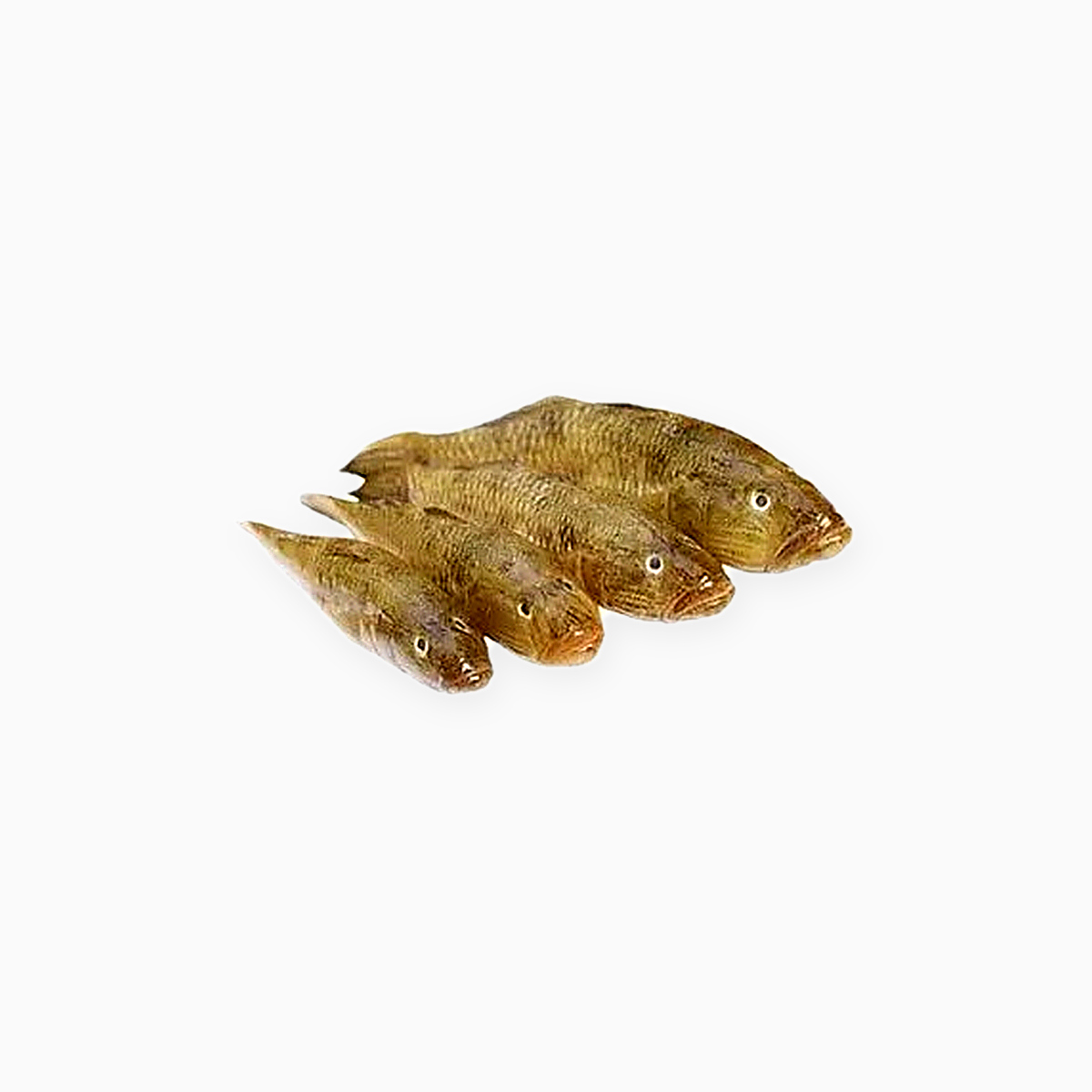 Baila Fish
