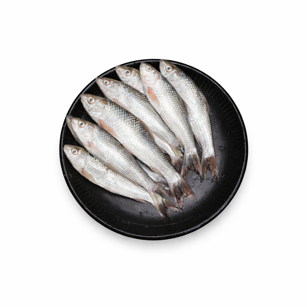 Bata Fish