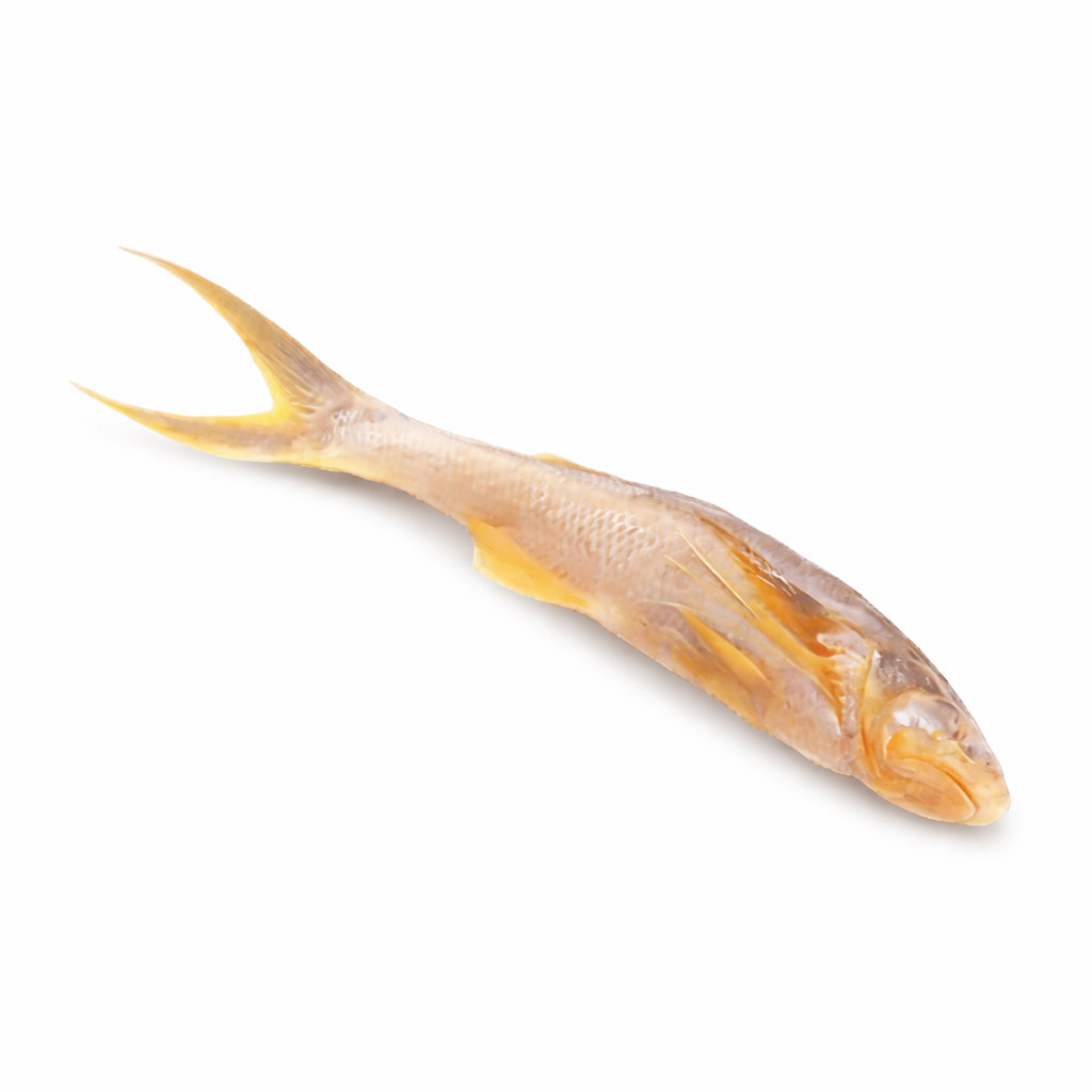 Taposhi Fish